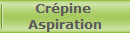 Crpine 
Aspiration